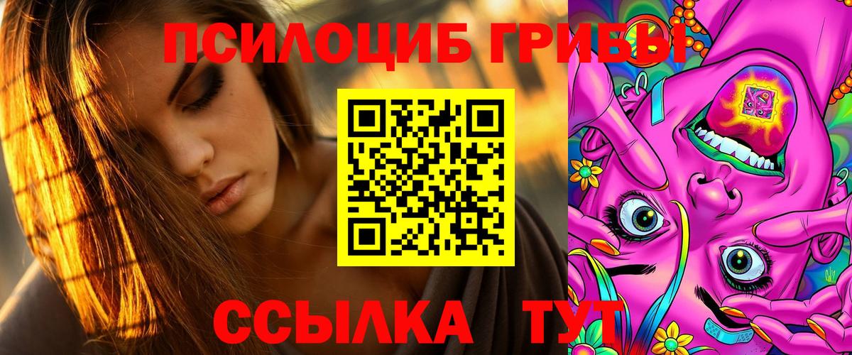 Астрахань  закладка  Вход с VPN  Псилоцибиновые грибы Cubensis 